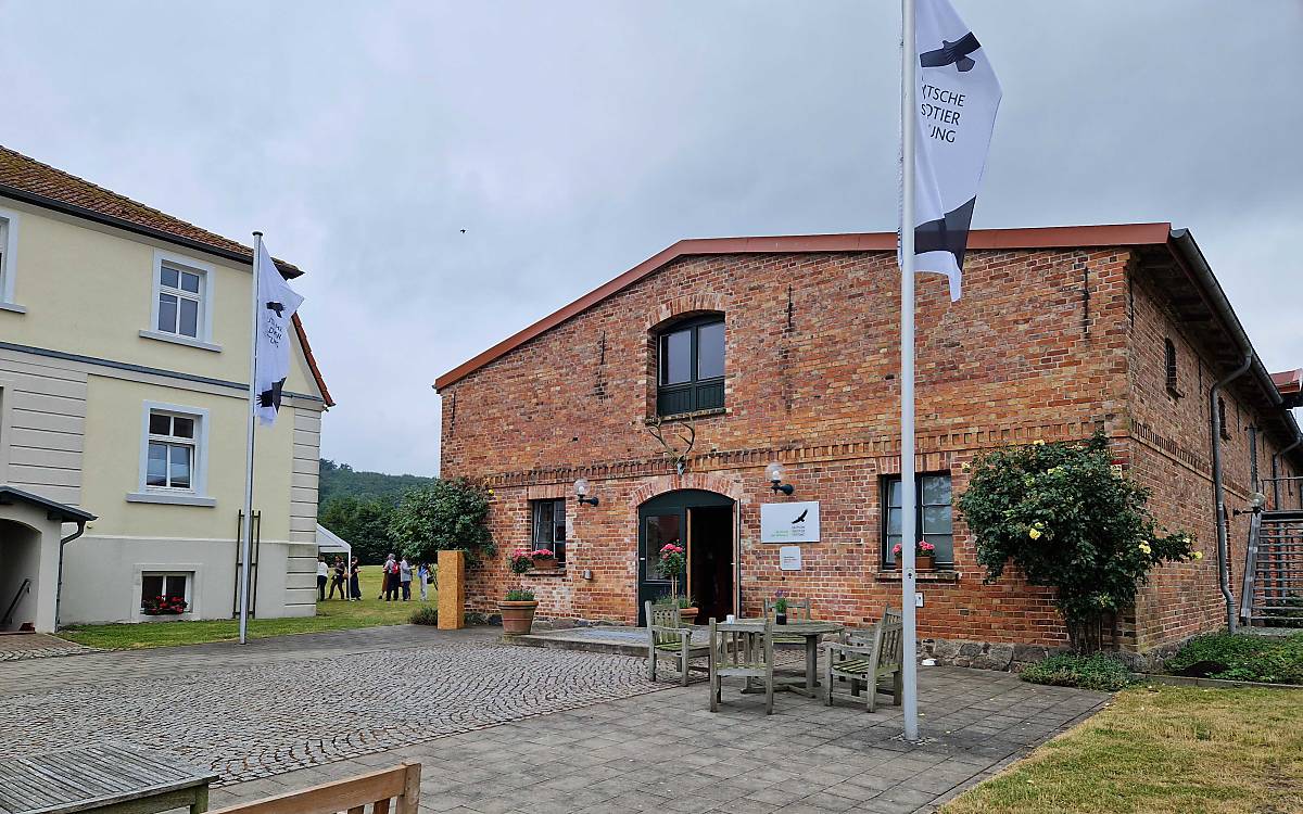 kleine-botschaft_gut-klepelshagen_jg