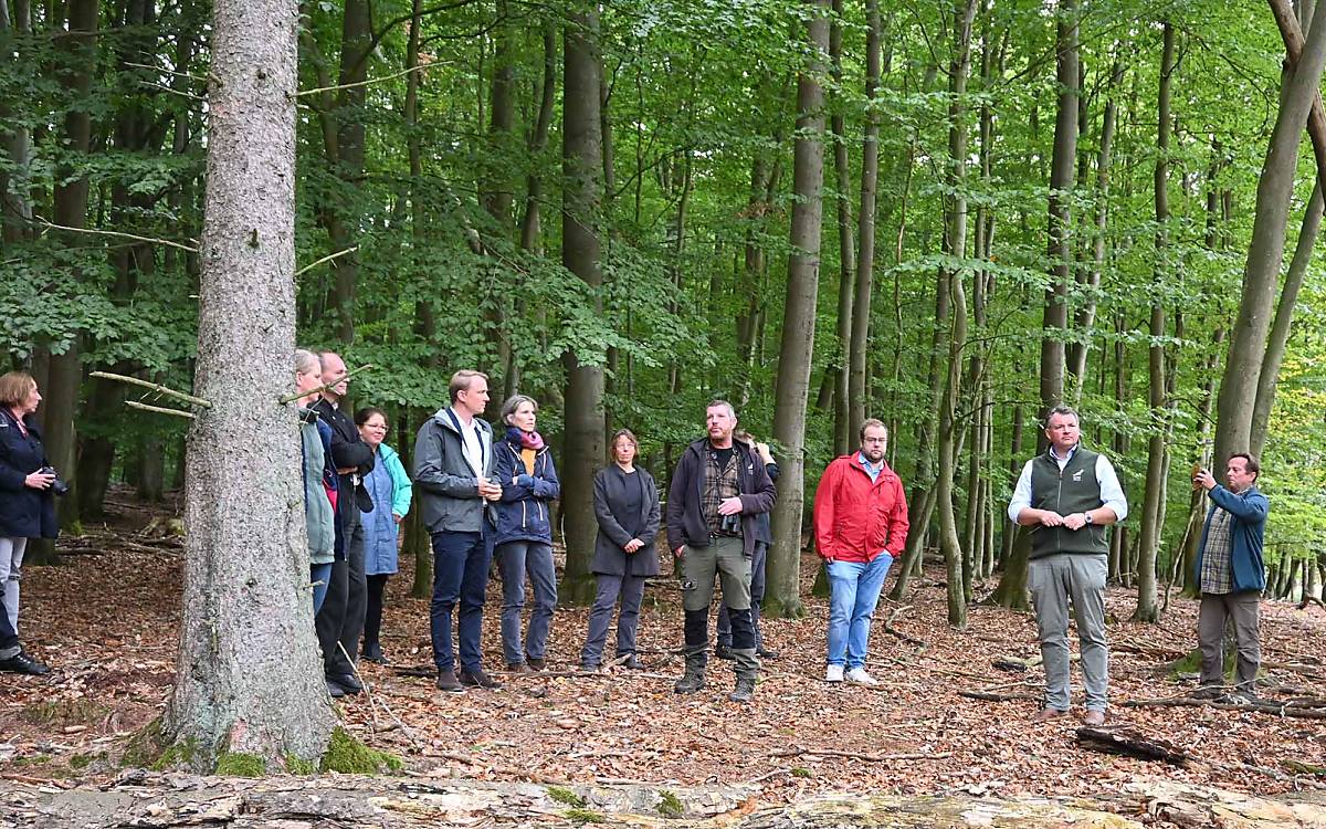 Nach der Übergabe der Förderurkunde besichtigten die Projektpartner und die Gäste aus dem BMUV und dem BfN ein renaturiertes Waldmoor auf Gut Klepelshagen.