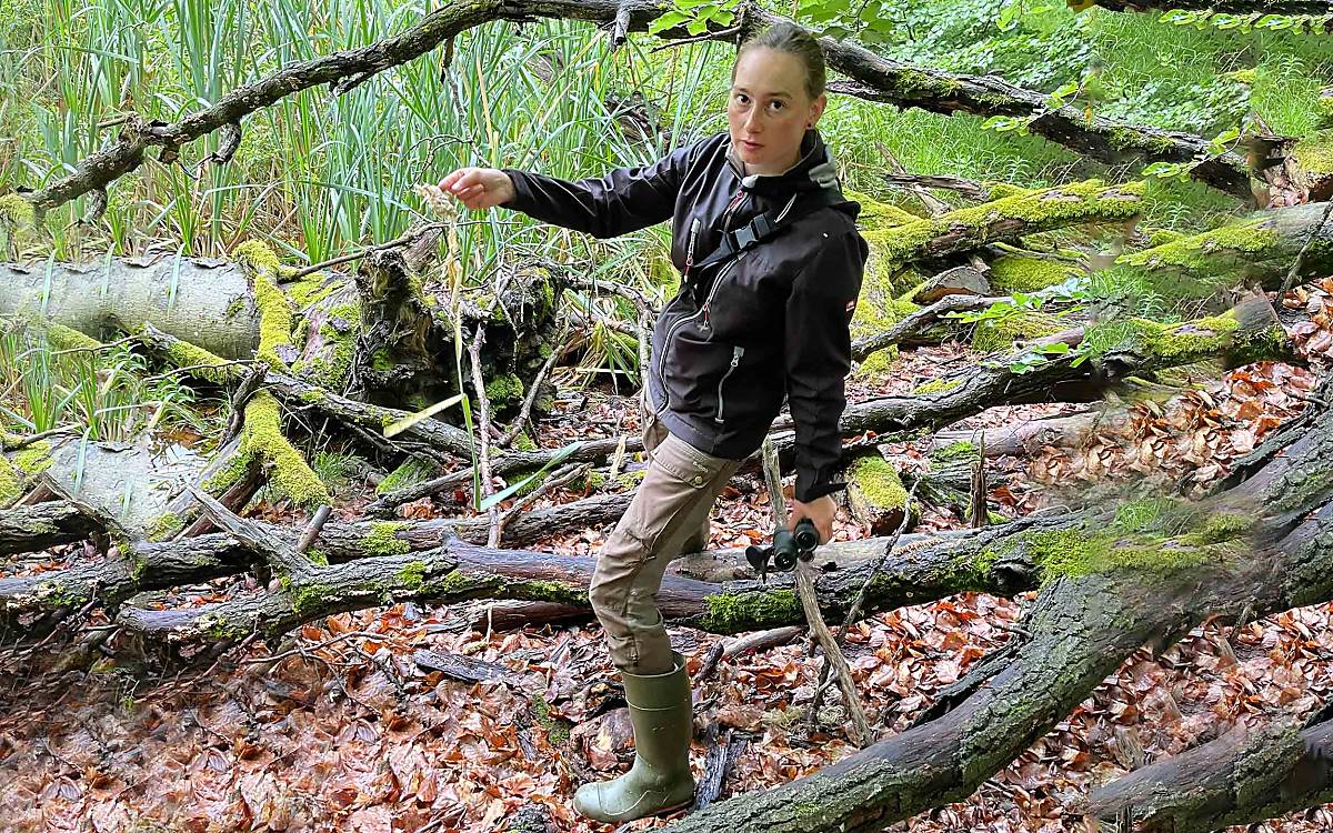 Volltreffer! Betty hat erste Hinweise darauf gefunden, dass die Biber hier unterwegs sind.