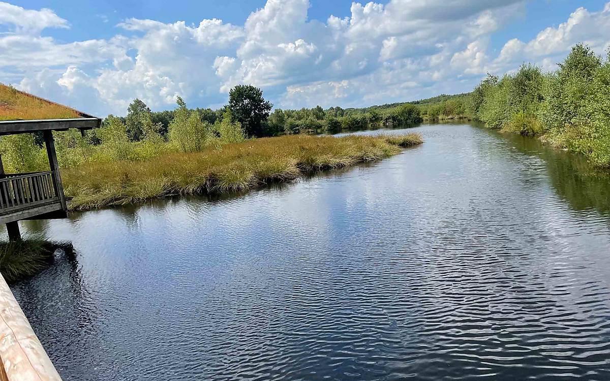 Das Aschorner Moor liegt in Niedersachsen, in der Nähe von Stade. Es ist ein kleines Moor, das zu einem riesengroßen Moor gehört hat.