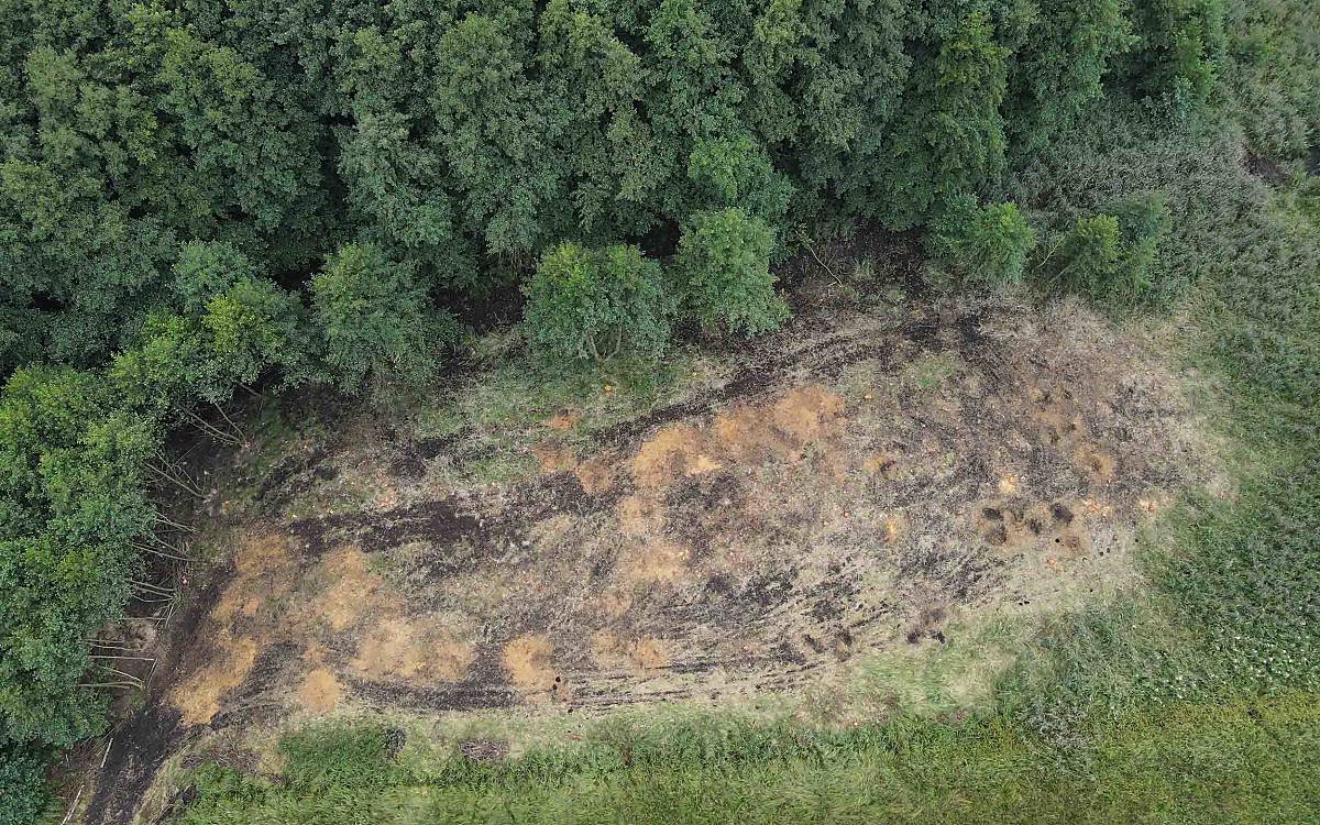 Das gerodete Teilstück der Kienbruchwiese aus der Vogelperspektive