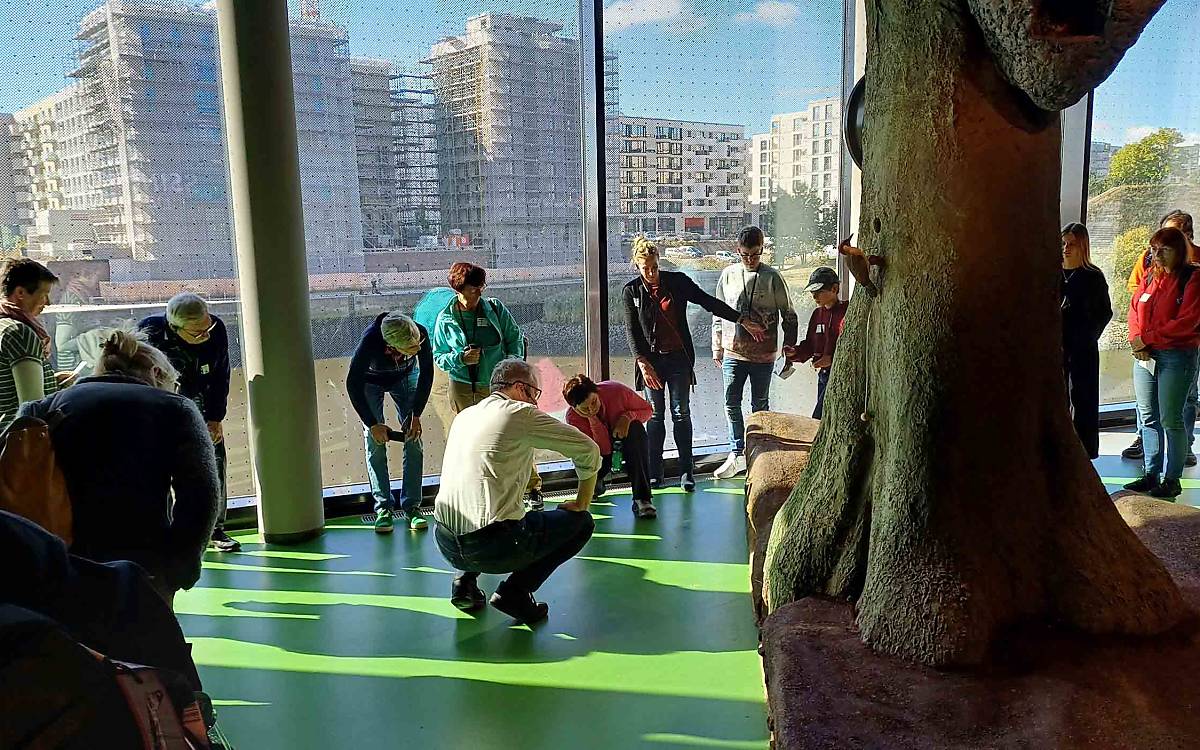 Ein Baum bietet vielen Tierarten Unterschlupf. Am Modell versuchen die Gäste, sie zu entdecken.