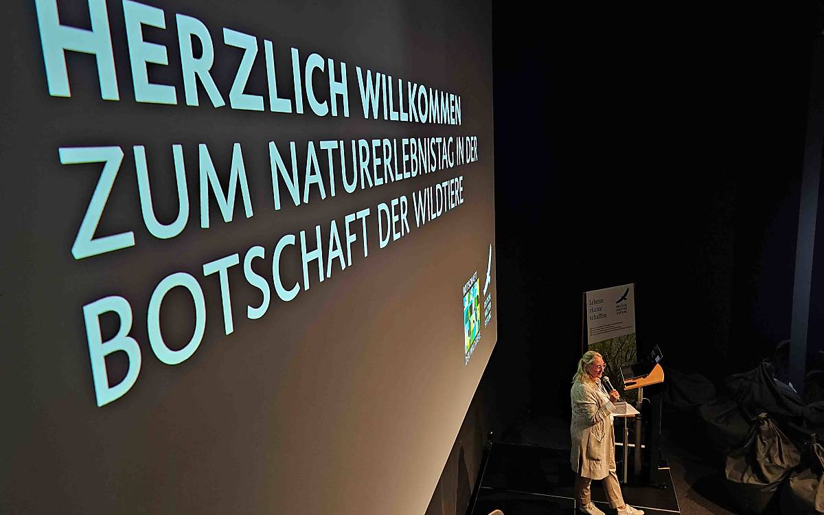 Einmal im Jahr laden wir unsere Spenderinnen und Spendern beim Naturerlebnistag zu einem persönlichen Einblick in unsere Arbeit ein.