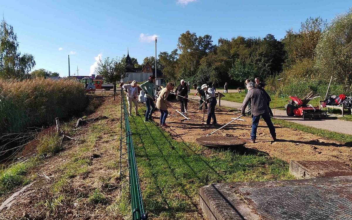 Für die Wildblumenwiese wird der Boden mit Sand abgemagert.