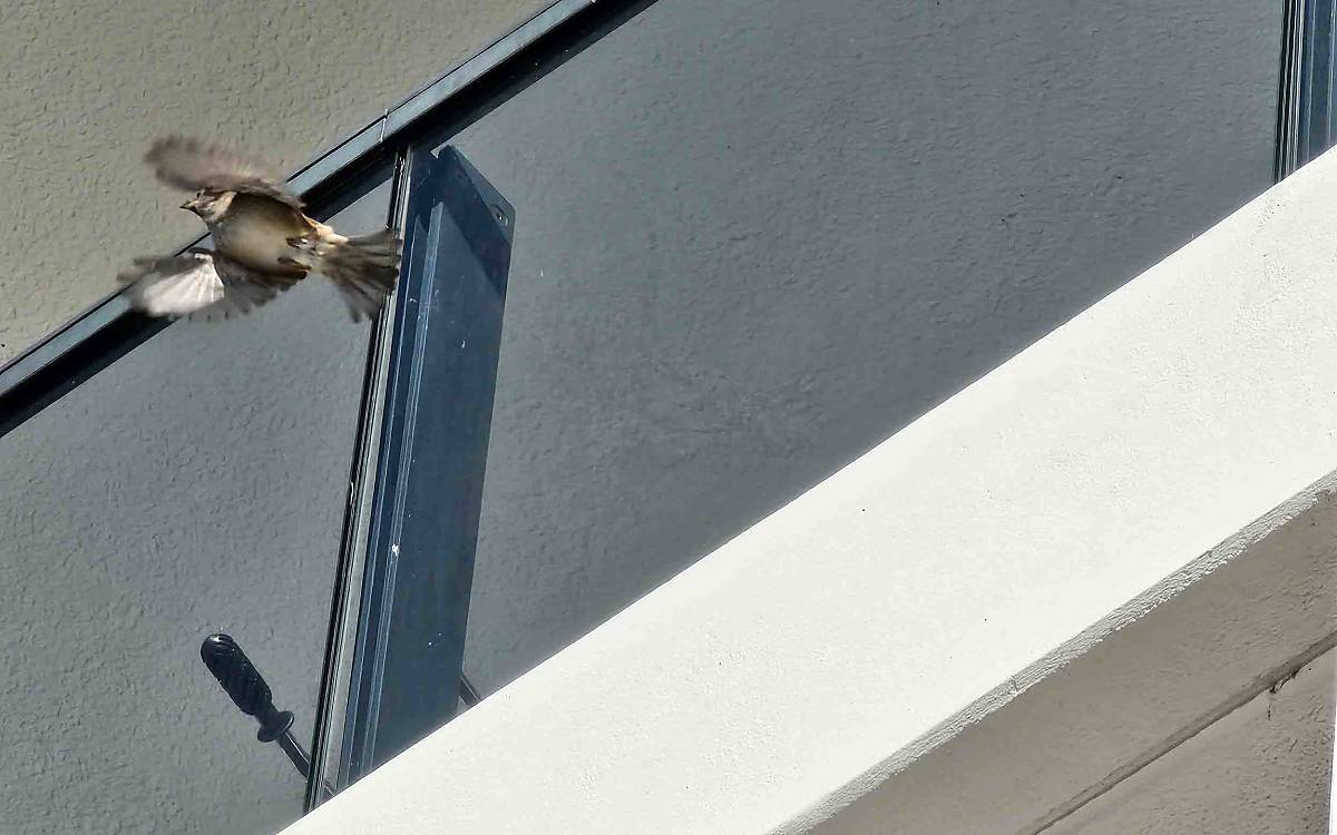 ... sind sie auch schon wieder weg.