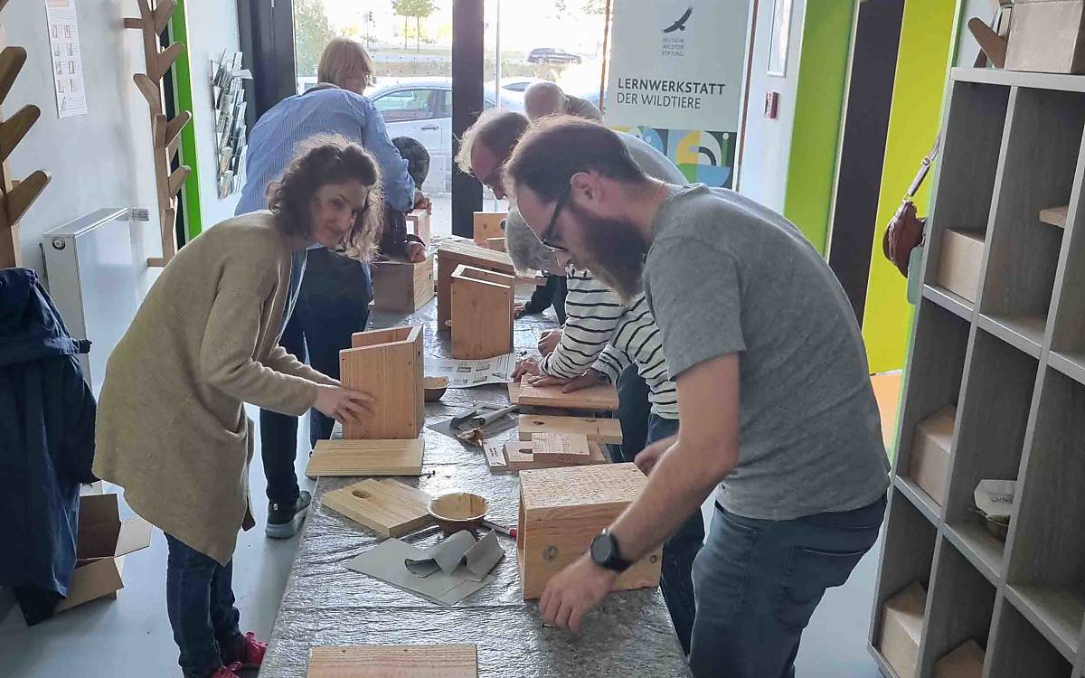 Sehr beliebt bei der Gruppe in der Lernwerkstatt: der Nistkastenbau