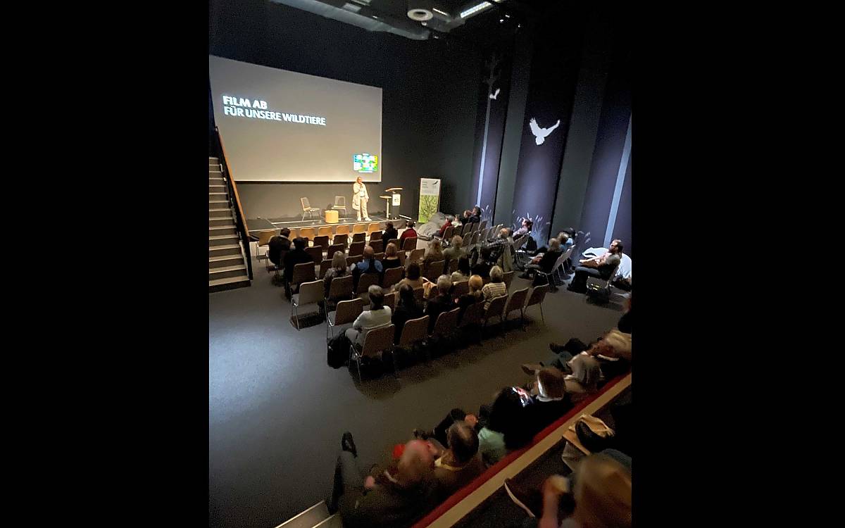 Film ab für die NDR-Doku „Tierisches Hamburg – Natur in der Millionenstadt“ im Kino der Wildtiere