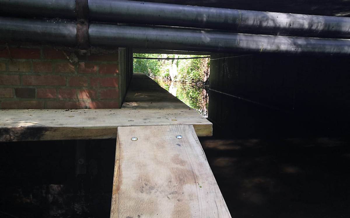 Hier hat Wildtierreporterin Lea die Berme fotografiert, die an der Fintau gebaut wurde.