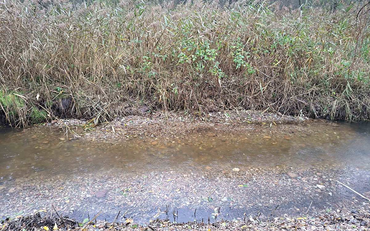 Und hier ist eine Kiesberme zu sehen.