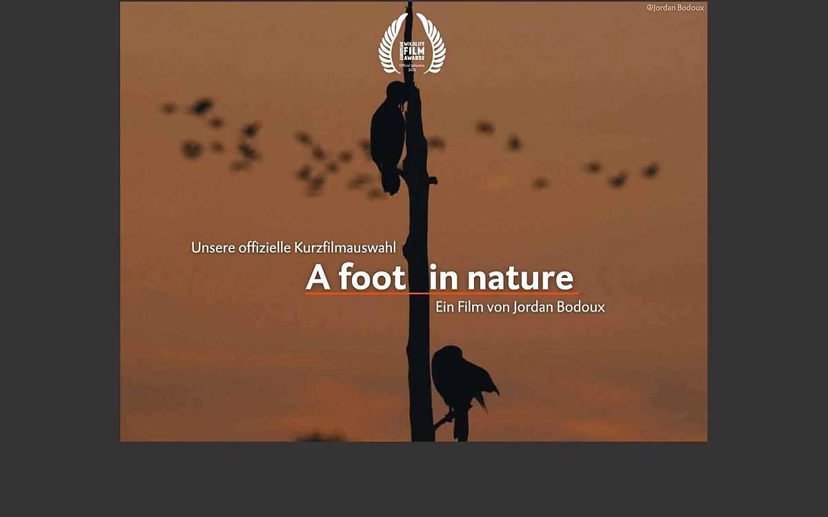 kurzfilm_foot-in-nature