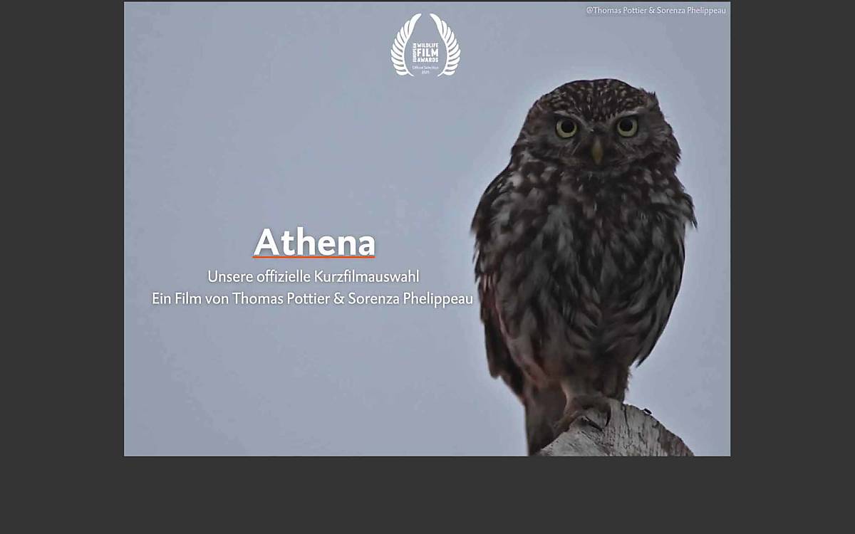 kurzfilm_athena