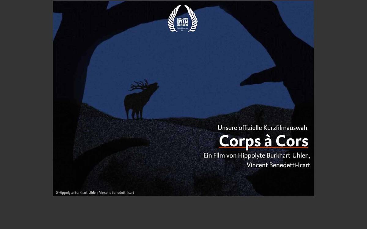 kurzfilm_corps-a-cors