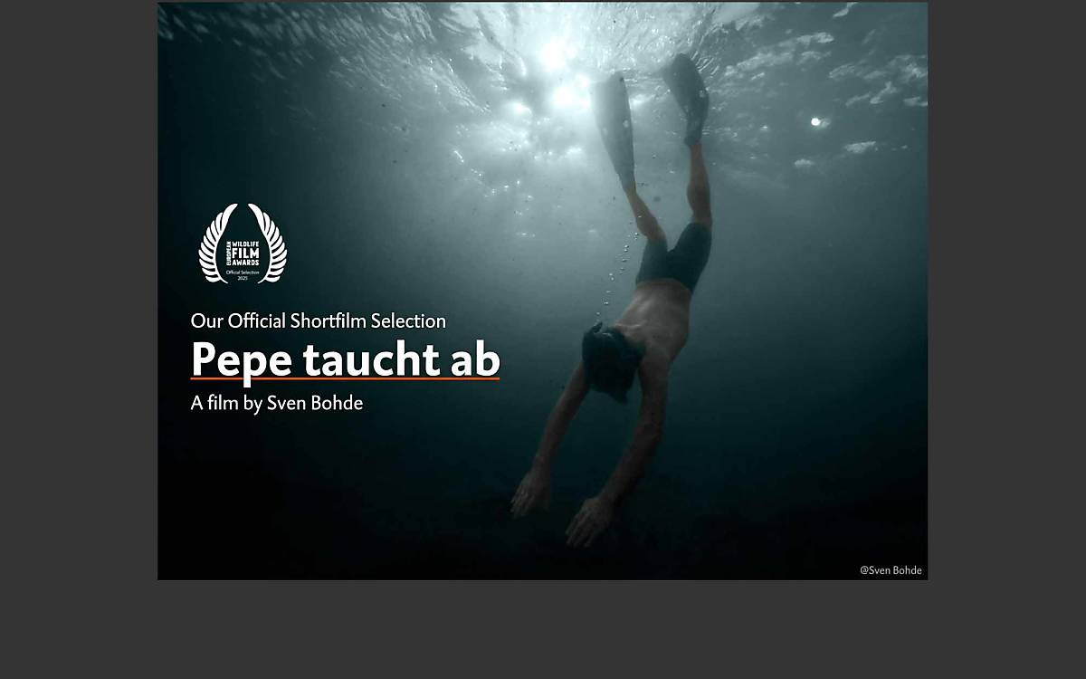 kurzfilm_pepe-taucht-ab