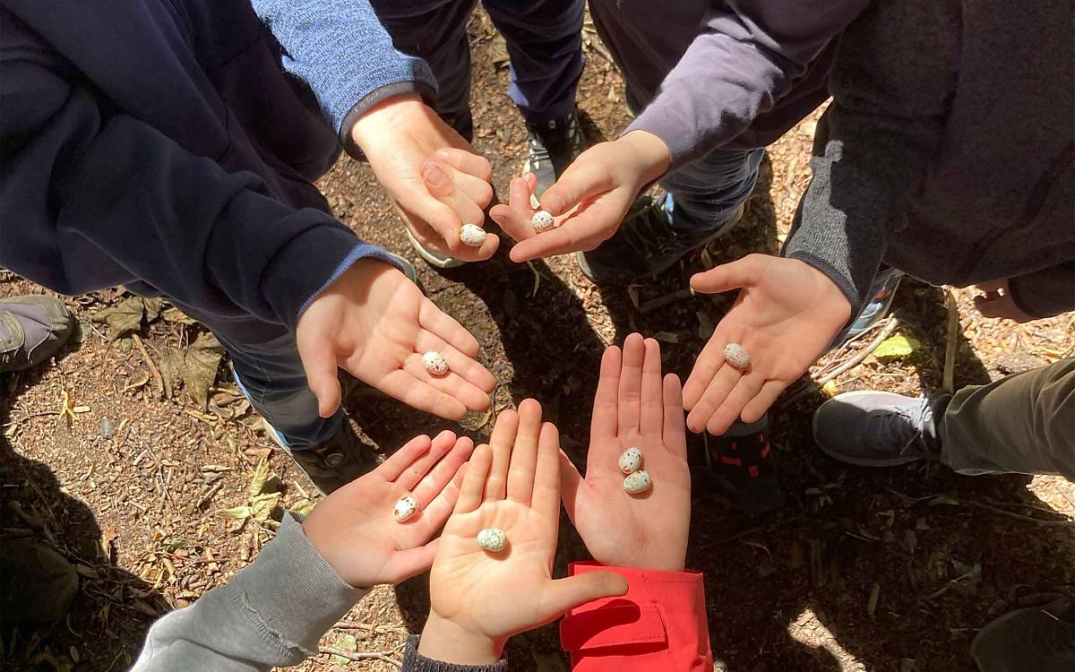 Nachgebildete Spatzeneier