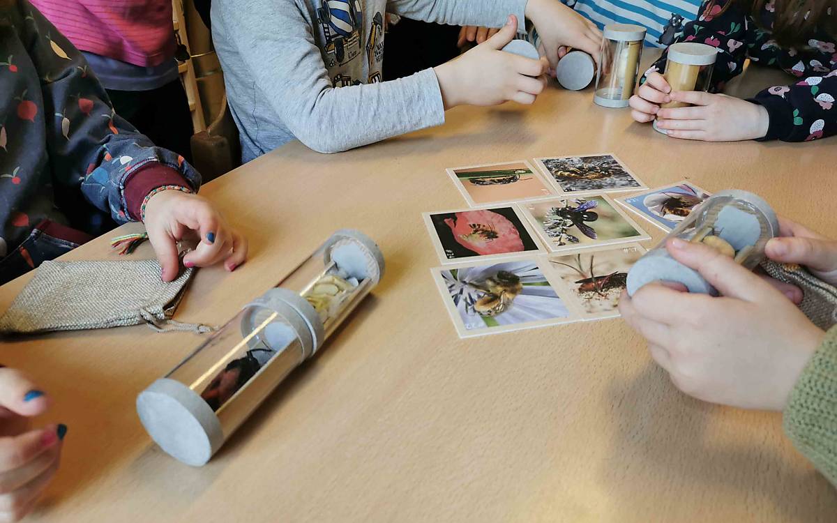 Naturbildungskoffer im Einsatz