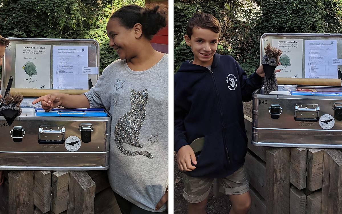 Die Spatzenkiste im Einsatz