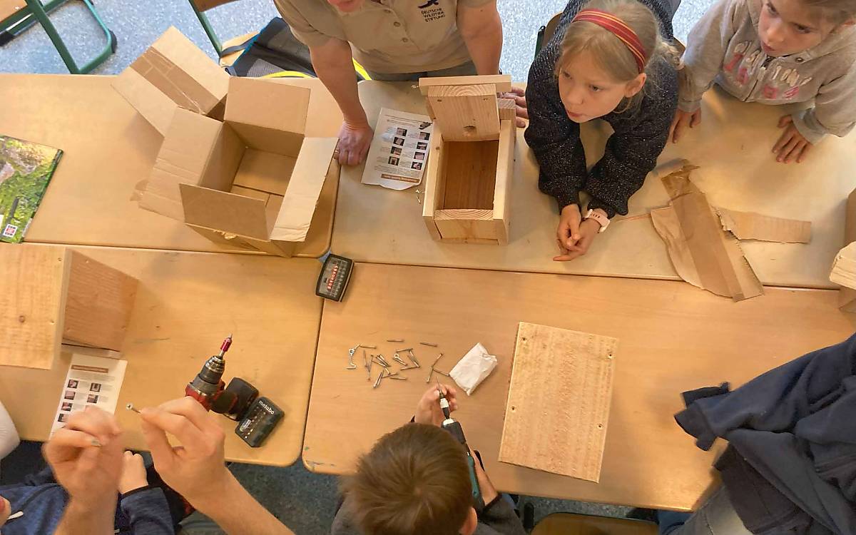 Vogelnistkästen werden in Zusammenarbeit mit „Haste Töne“ gebaut