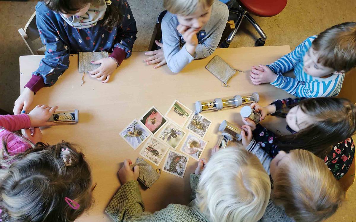 Das Material des Wildbienenkoffers im Einsatz.