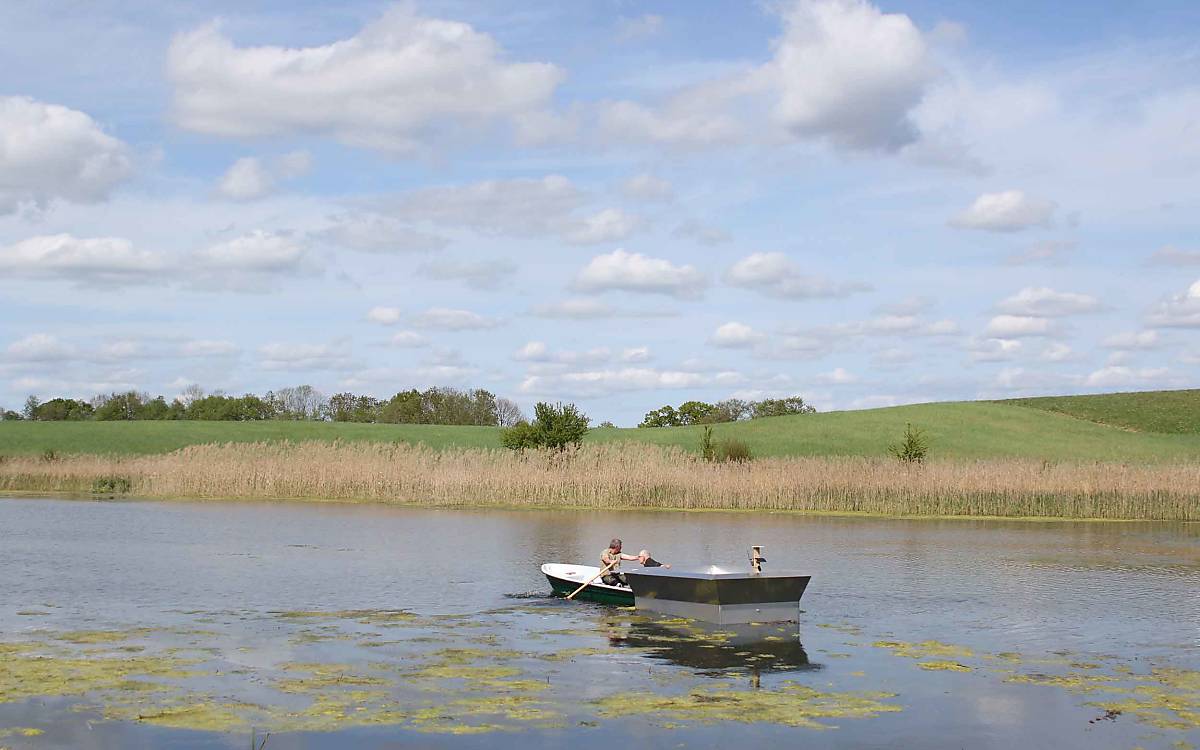 Mit vereinten Kräften: Die Plattformen für die Flussseeschwalben werden mit dem Ruderboot an ihren Standort gezogen.