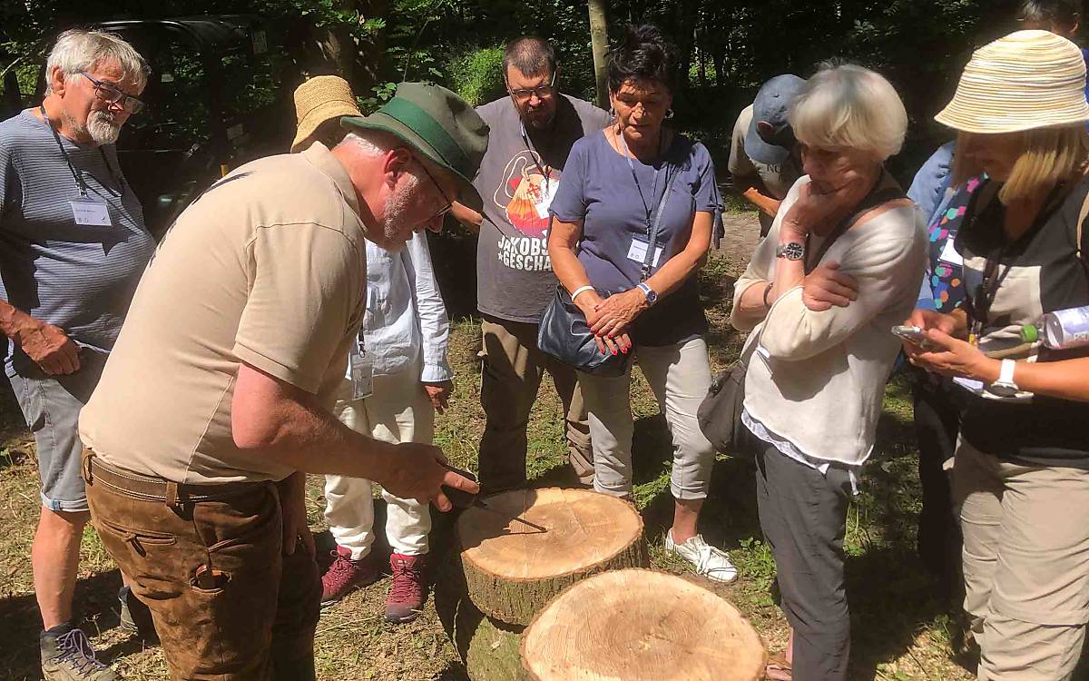 An den Jahresringen einer Baumscheibe lässt sich nicht nur das Alter des Baums ablesen. Sie geben auch Hinweise zu den Wachstumsbedingungen in den einzelnen Jahren.