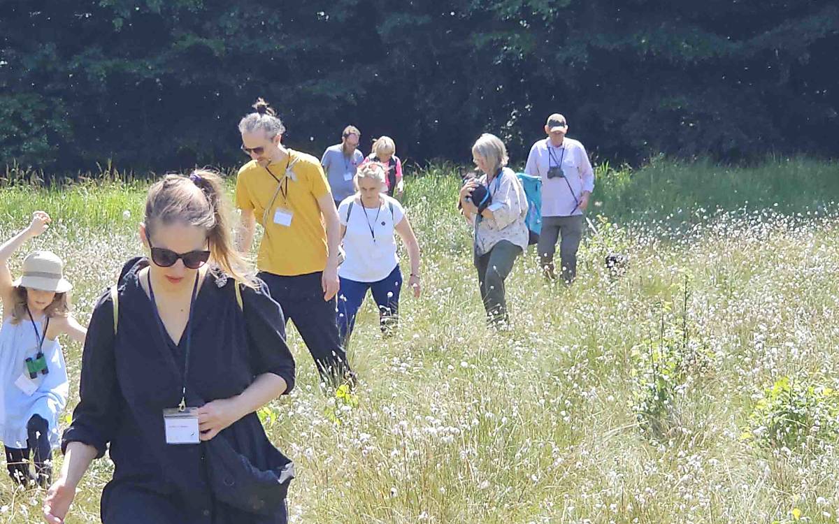 Angekommen im Waldmoor. Gar nicht so einfach, sich in dem feuchten, unebenen Gelände zu bewegen.