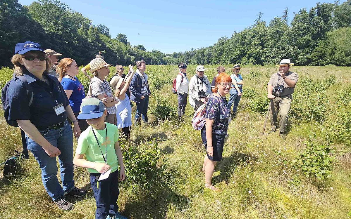 Moore sind wichtige Kohlenstoffsenken und schützen das Klima, erklärte Ranger Wilderich Stein. Der feuchte Boden des Waldmoors bot manchen bei sommerlichen Temperaturen eine willkommene Abkühlung.