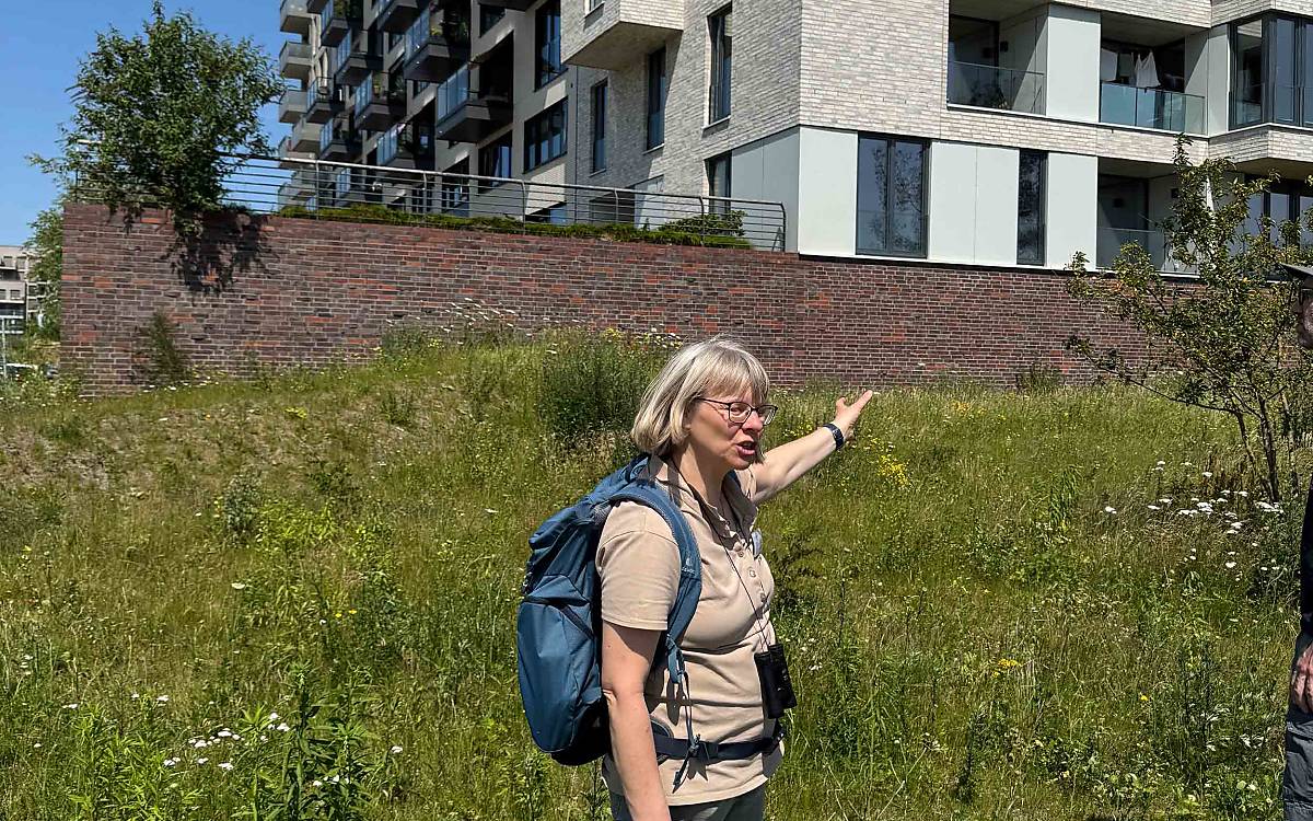 Christine Rückmann zeigte: Bei vielen Neubauten stehen Spatzen vor verschlossenen Türen. Die Fassaden haben keine Hohlräume, in denen die Tiere brüten können.