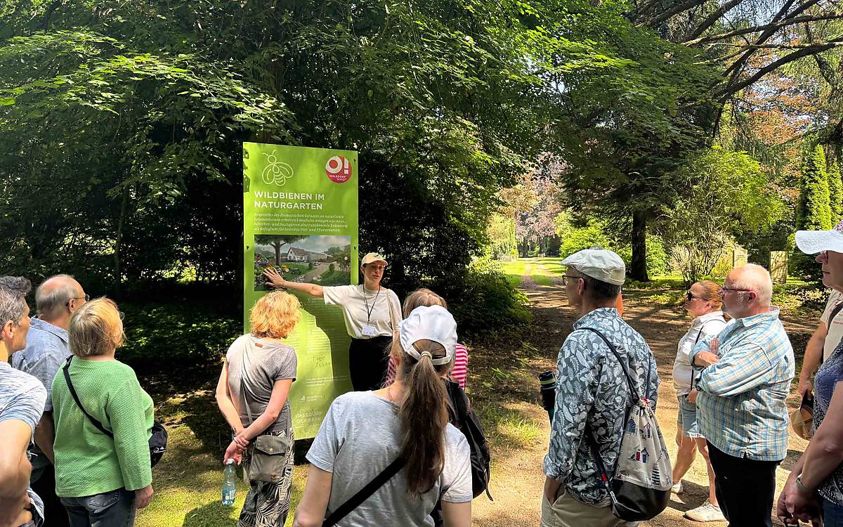 Was können Gärtner für bedrohte Bestäuber tun? Das erklärte Judy Melina Kolster aus unserem Wildbienen-Team bei einer Führung entlang des Lehrpfads auf dem Friedhof Ohlsdorf.
