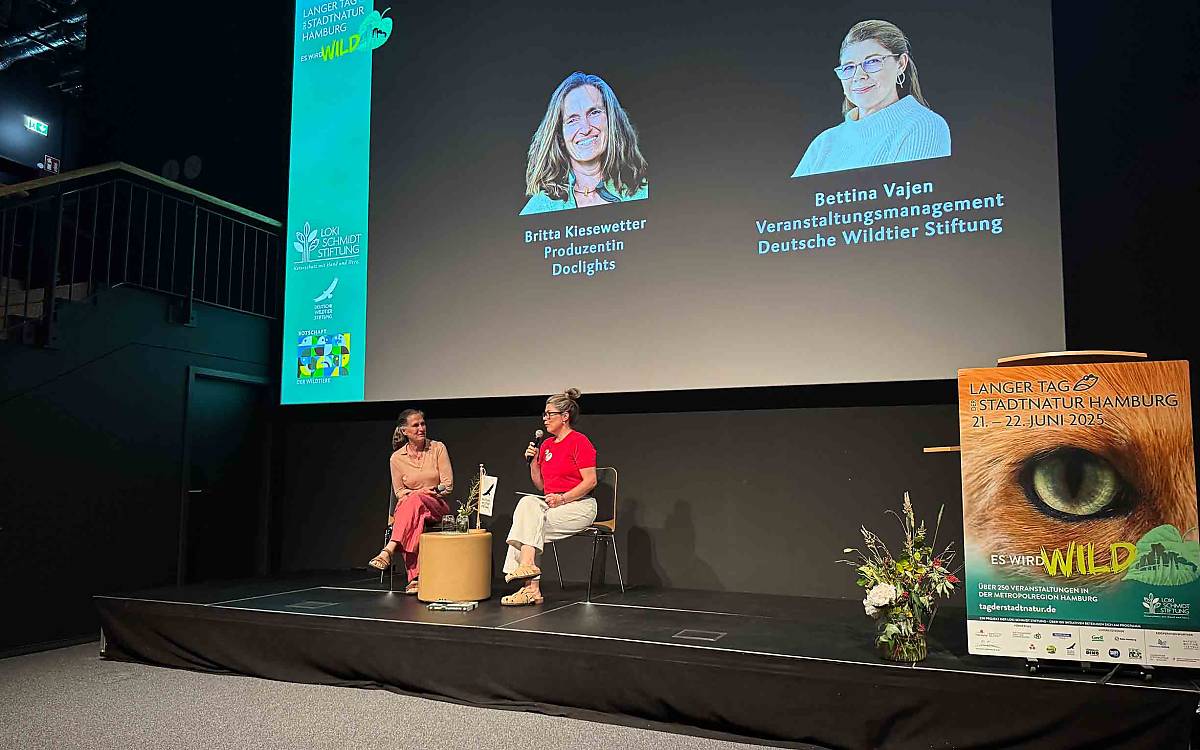 In unserem Naturfilmkino zeigten wir den Film „Tierisches Hamburg – Natur in der Millionenstadt“ von Holger Vogt. Im Filmgespräch stand Produzentin Britta Kiesewetter Rede und Antwort.