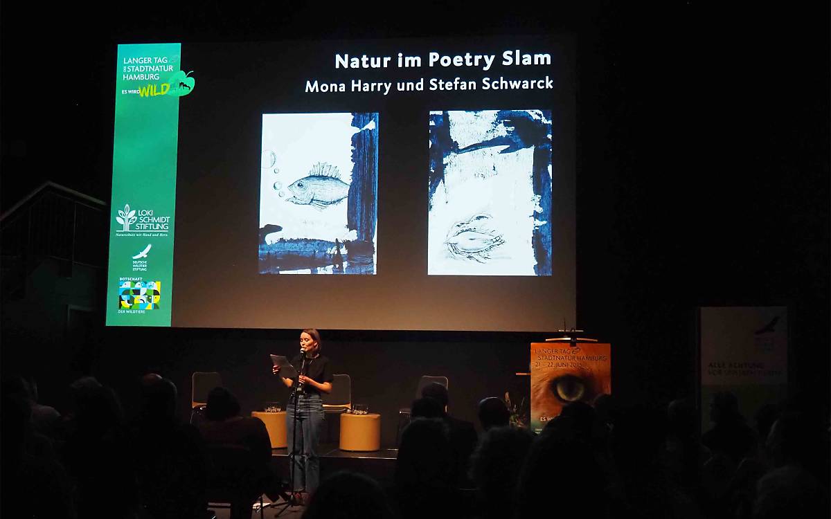 Wer findet die schöneren Worte über die Natur im Norden? Mona Harry und Stefan Schwarck lieferten sich einen Poetry Slam – und das Publikum war von beiden begeistert.