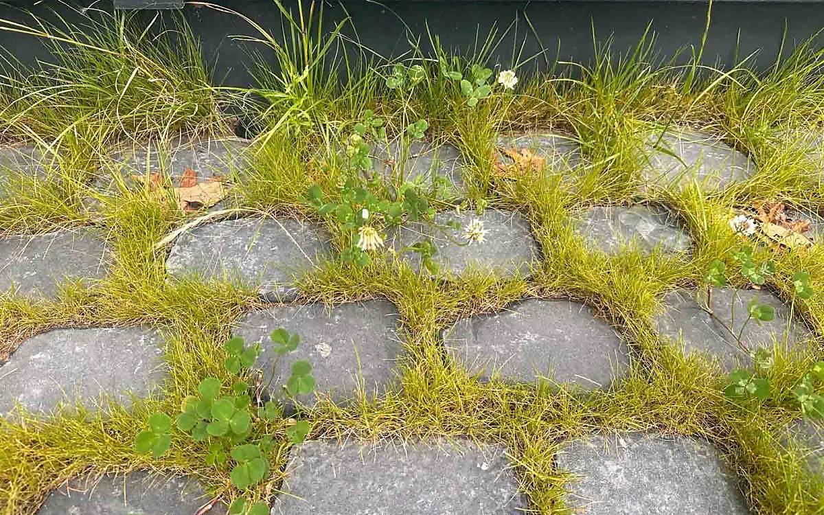 fugen-zwischen-pflastersteinen_inga-olfen