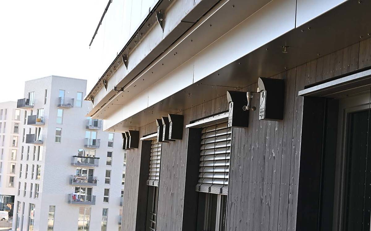Zimmer frei: Die Nistkästen an der Fassade unseres Bürogebäudes werden gut angenommen. Die ersten Sperlinge haben dort bereits gebrütet.