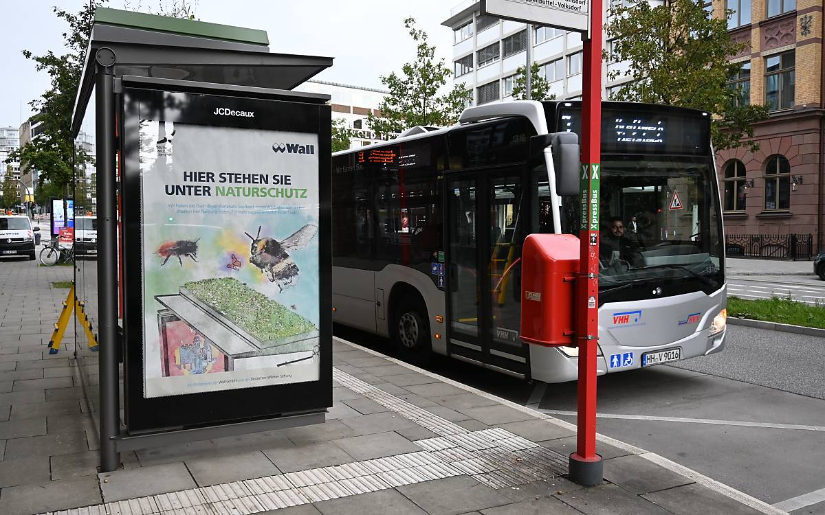 fahrgastunterstand_deutsche-wildtier-stiftung