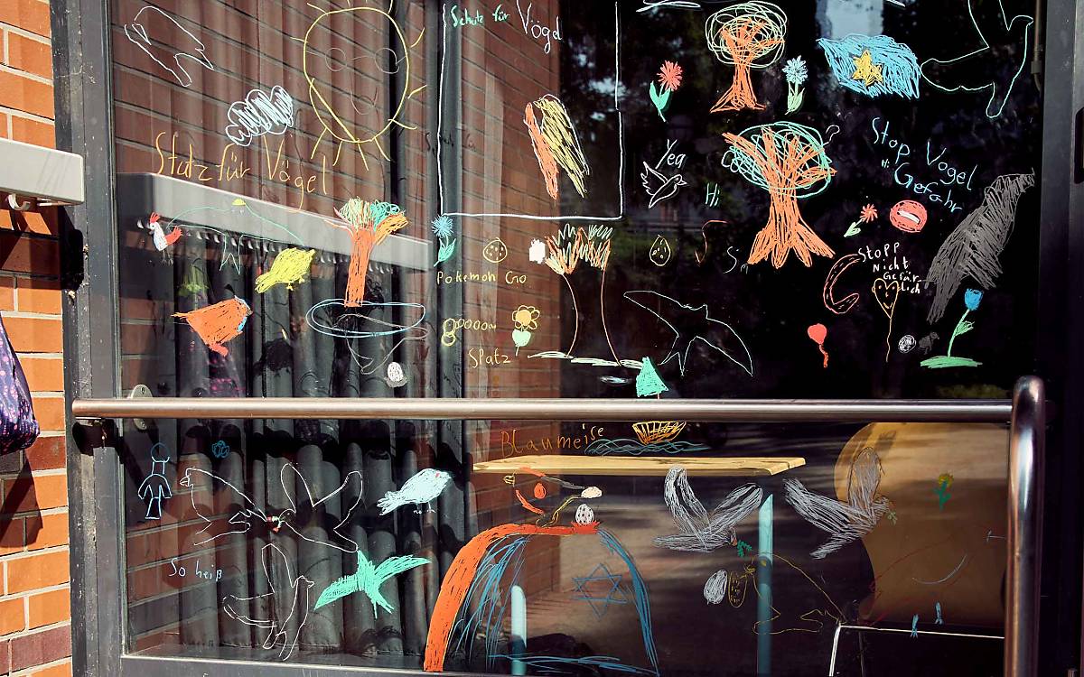 Fertig! Mit so tollen, bunten Bildern ist das Fenster nicht zu übersehen – für Spatzen und für Menschen.