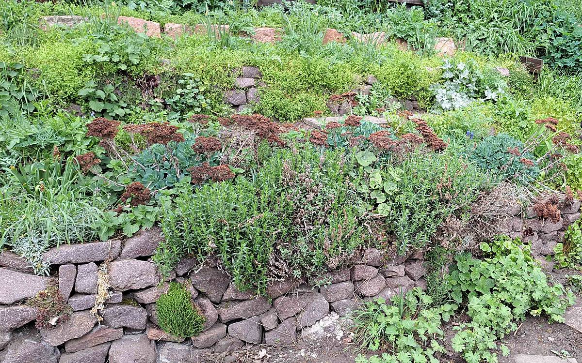 Wertvolle Strukturen: Eine Trockenmauer wertet Abhänge und Geländekanten auf und bietet Insekten Rückzugsräume. Die dichte Bepflanzung schützt den Boden vor Erosion und Austrocknen.