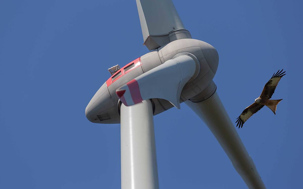 Windkraftanlage und Rotmilan im Flug