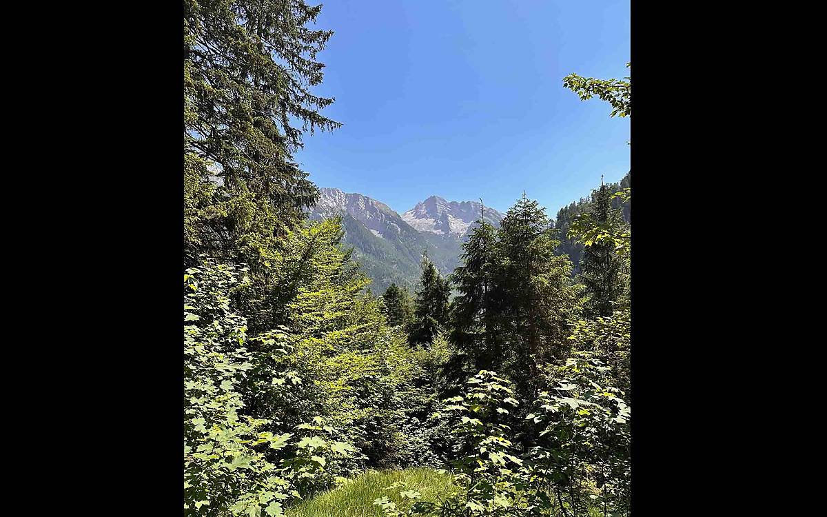 Perfekter Lebensraum: Im Nationalpark Berchtesgaden findet der Bartgeier ideale Bedingungen vor.