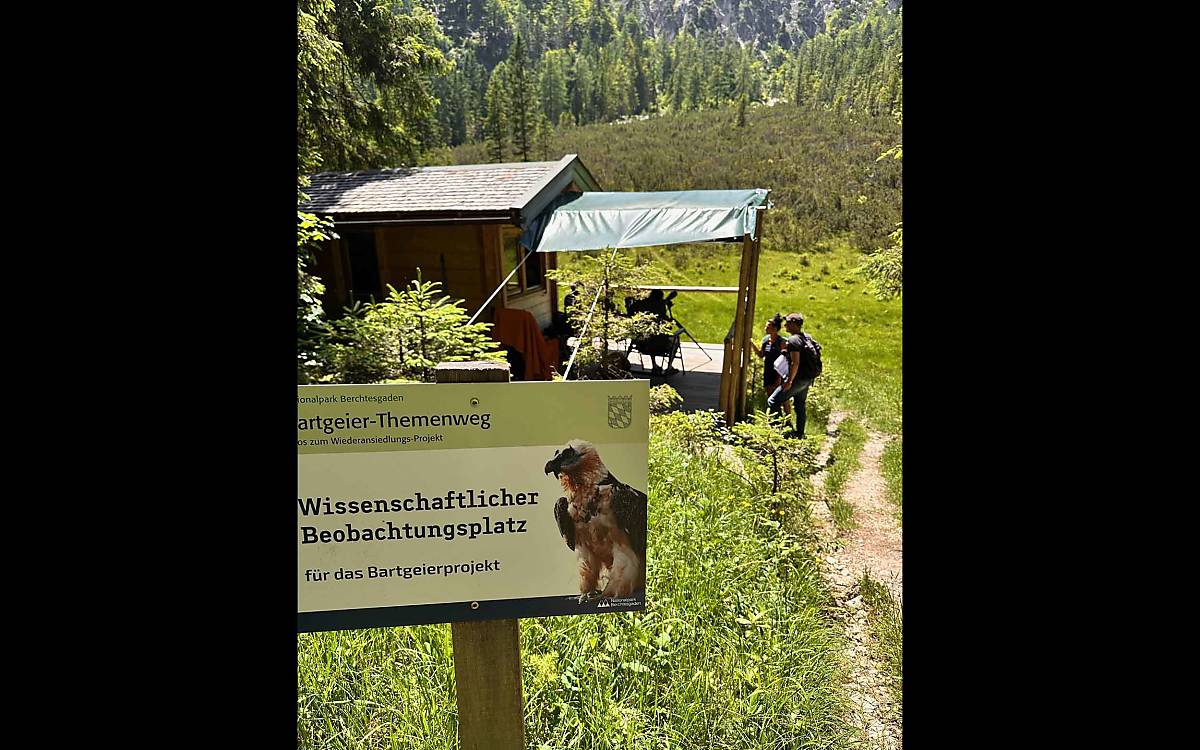 Gute Aussichten: Am wissenschaftlichen Beobachtungsplatz des Bartgeierprojekts lassen sich Erkenntnisse über die beeindruckenden Vögel sammeln.