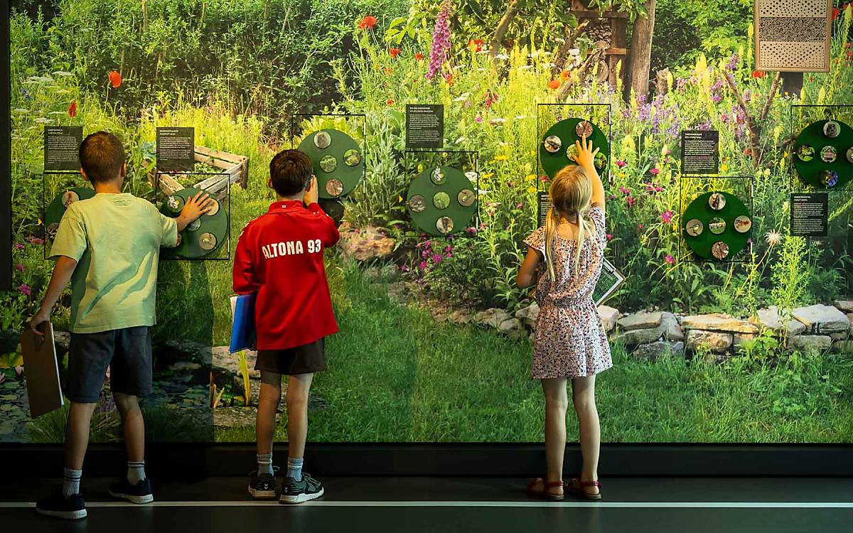 Kleine Forscher: In der Ausstellung der Botschaft der Wildtiere gibt es viel zu entdecken.