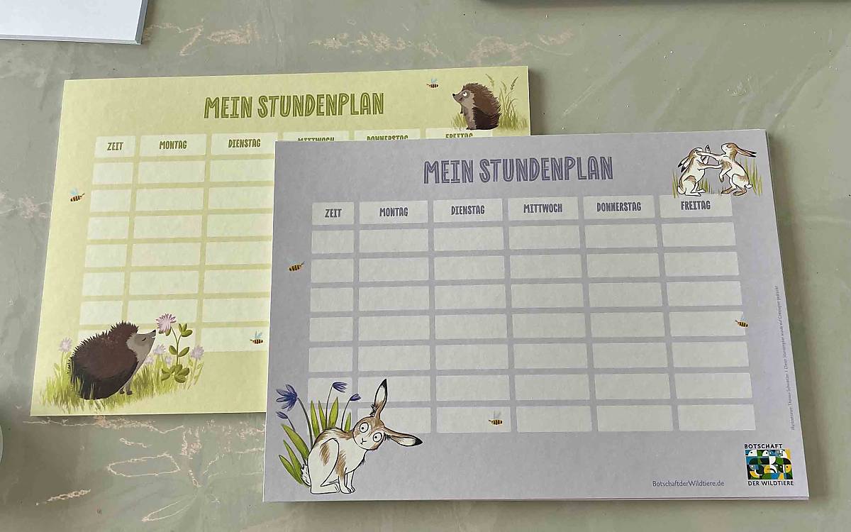 Auf ins neue Schuljahr: Die kleinen Gäste konnten sich diese wilden Stundenpläne als Erinnerung mit nach Hause nehmen.