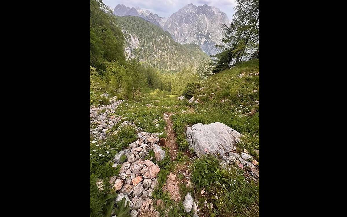 Wer in so steinigem Gelände unterwegs ist, muss trittsicher sein wie die Gämsen.