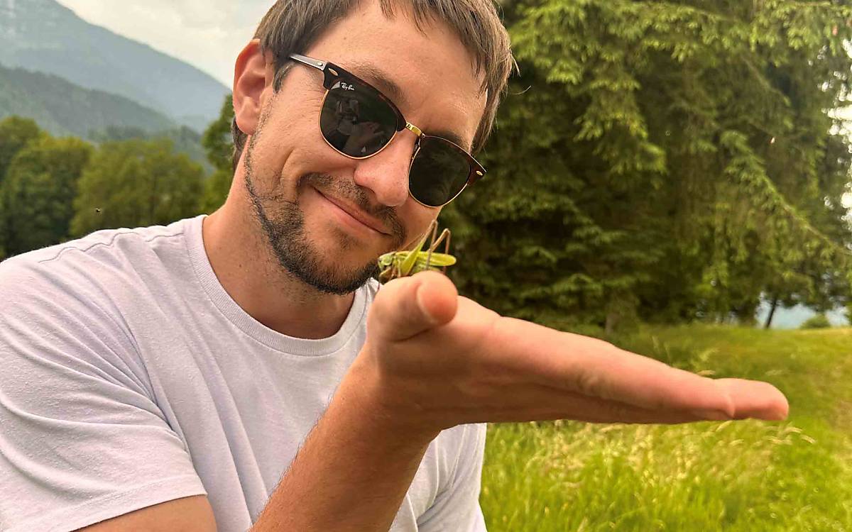 Heuschrecken-Experte im Glück: Sebastian hat beim Warzenbeißer keine Berührungsängste.