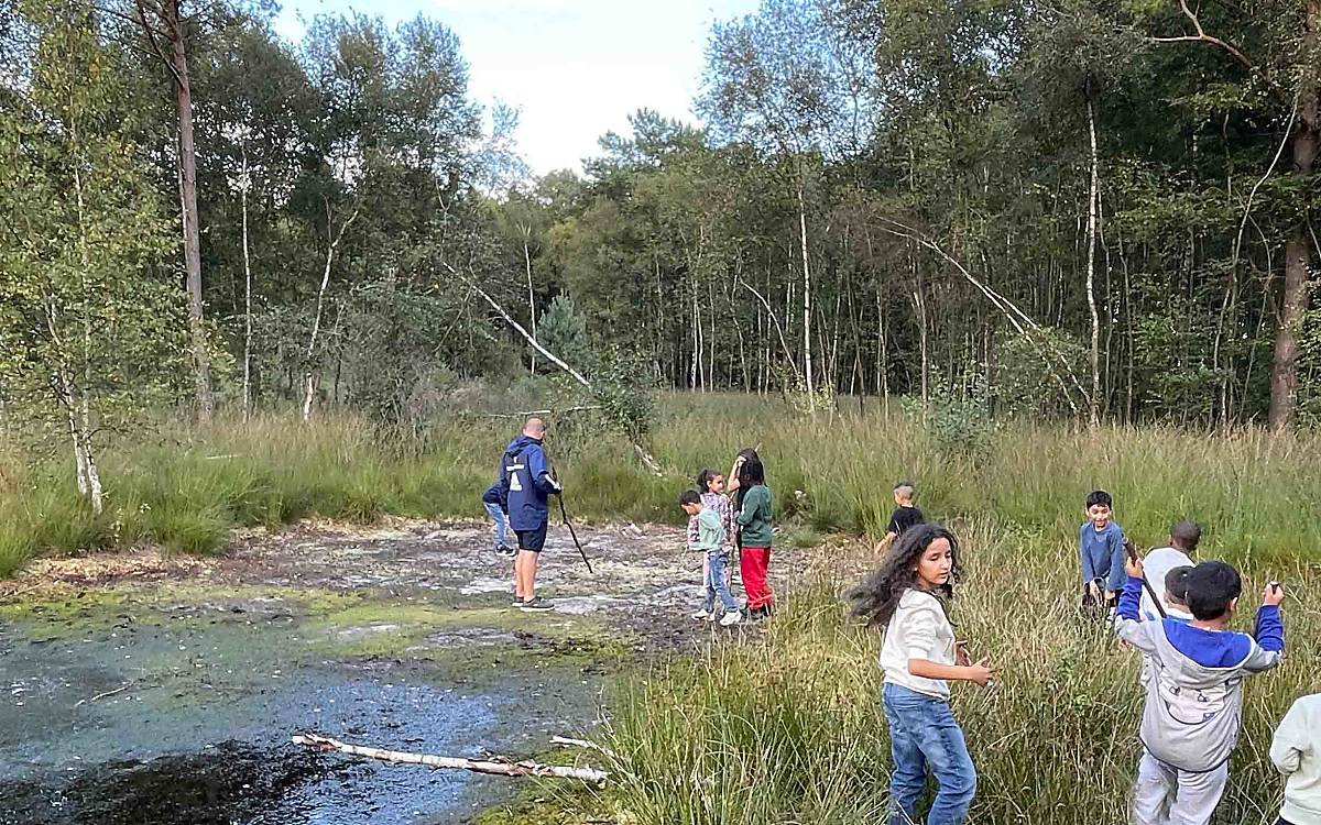 Im wiedervernässten Moor in Fintel