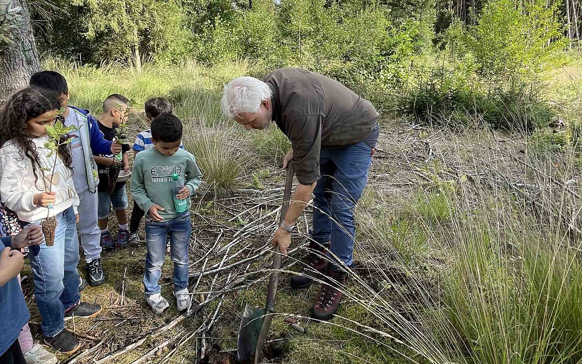 Der Boden ist nicht überall gleich. Der Förster zeigt, wo und wie man am besten ein Loch für die Bäumchen buddelt, bevor die Kinder selbst loslegen.