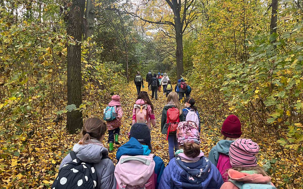 Seit 2015 bringt das Projekt Schulklassen regelmäßig in den Wald und eröffnet Kindern in der Großstadt die Möglichkeit, Natur hautnah zu erleben.