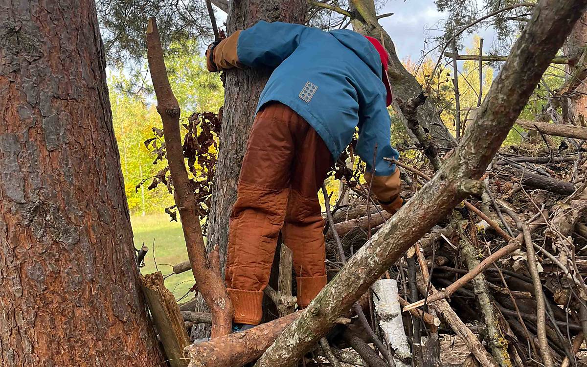 Hoch hinaus: Beim Klettern trainieren die kleinen Abenteurer ihren Gleichgewichtssinn und gewinnen Selbstvertrauen.