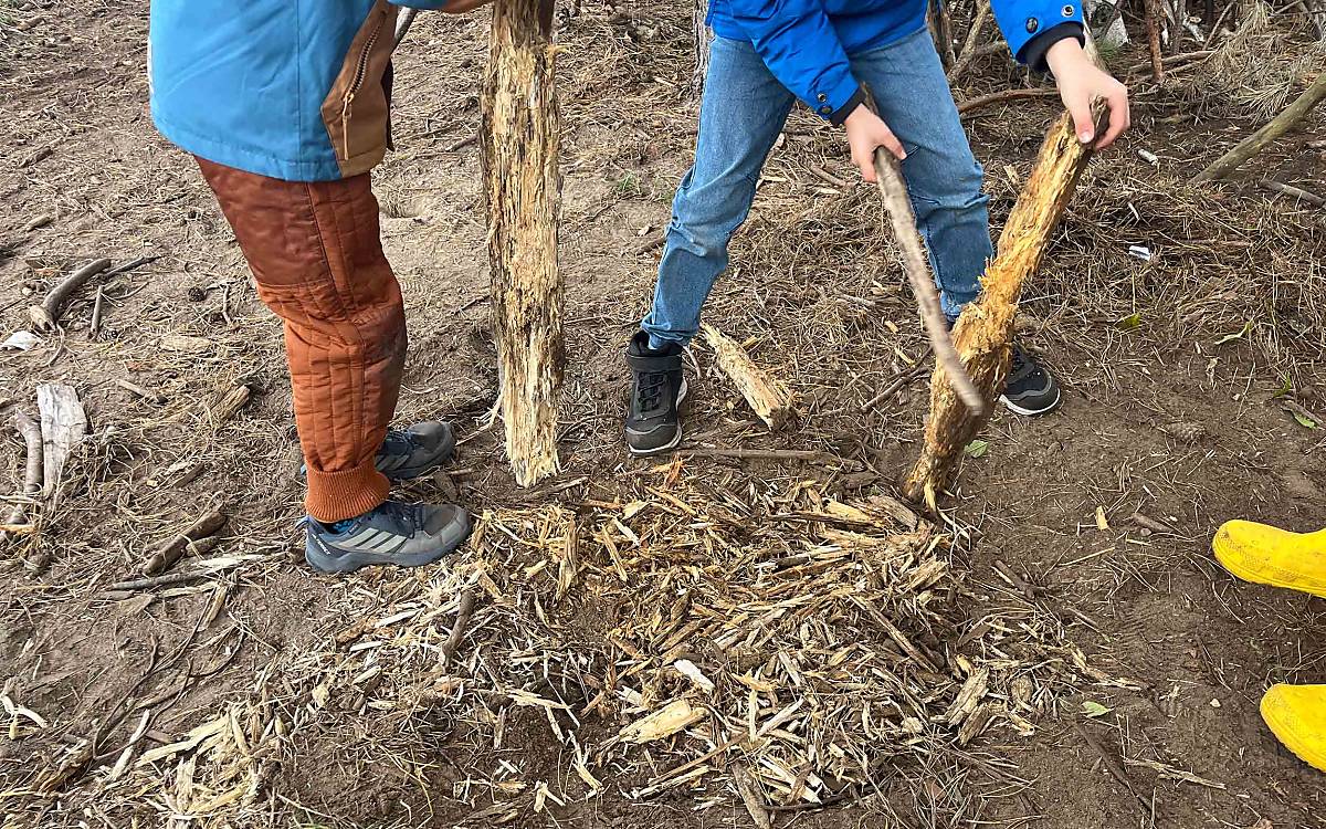 Entdecken und ausprobieren: Was kann man mit Holz alles machen?