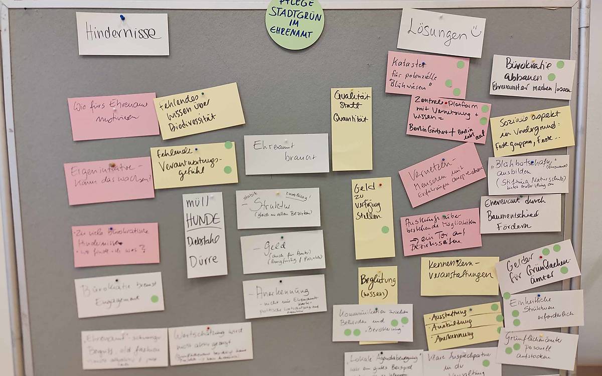 Ehrenamtliche Stadtgrünpflege: Die Fokusgruppe hat zahlreiche Hindernisse und Lösungsvorschläge zusammengetragen.