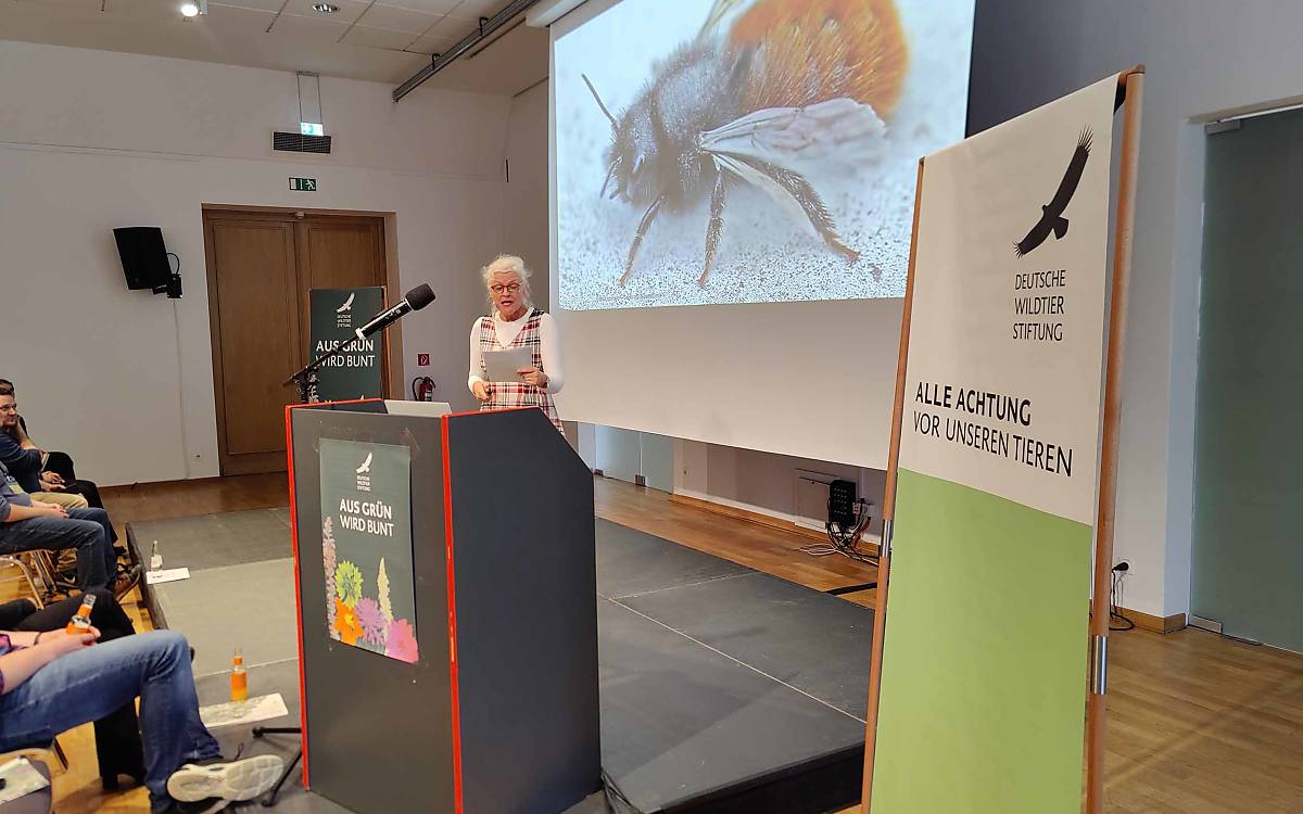 Besonderes Theater: Mit einer Portion Humor vermittelt Barbara Geiger als „Fräulein Brehm“ wissenschaftliche Erkenntnisse über Wildbienen.