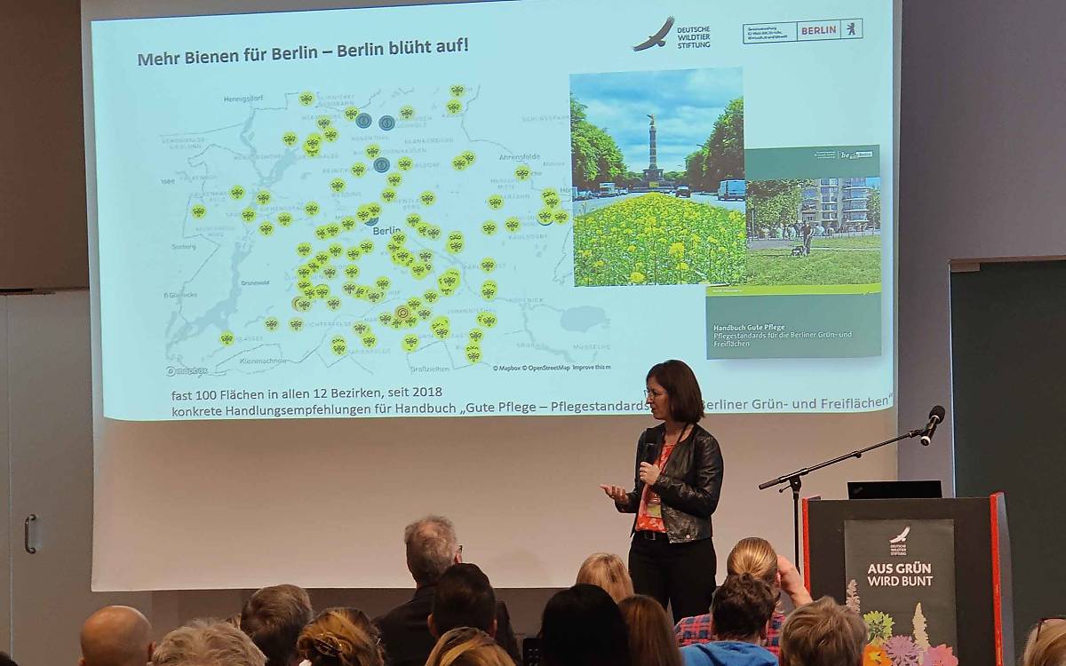 Wie kann Berlin noch mehr aufblühen? Für Prof. Dr. Aletta Bonn stecken die Antworten im „Handbuch Gute Pflege – Pflegestandards für die Berliner Grün- und Freiflächen“.